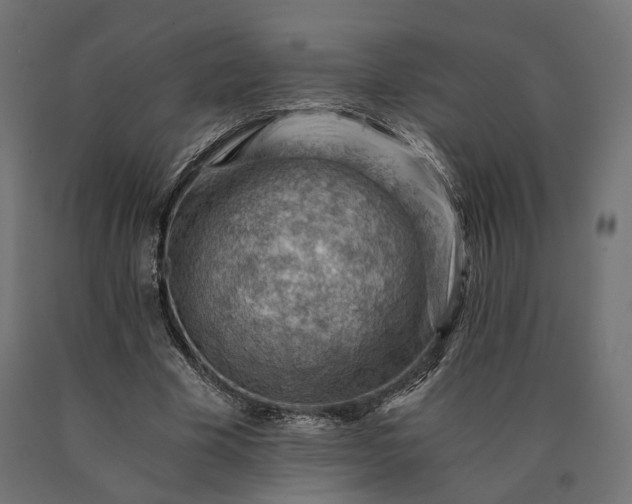 X0000090780585200708031717