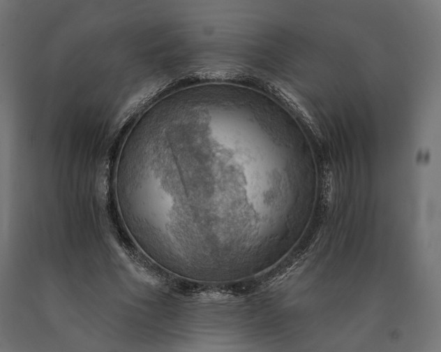X0000090780586200708031717