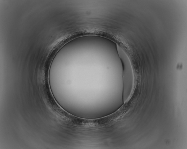 X0000090780587200708031717