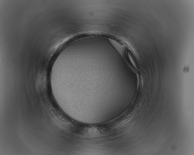 X0000090780588200708031717