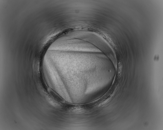 X0000090780589200708031717