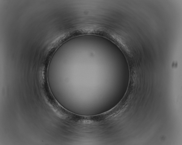 X0000090780590200708031717