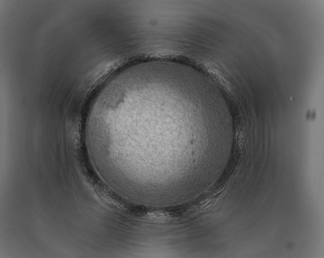 X0000090780591200708031717