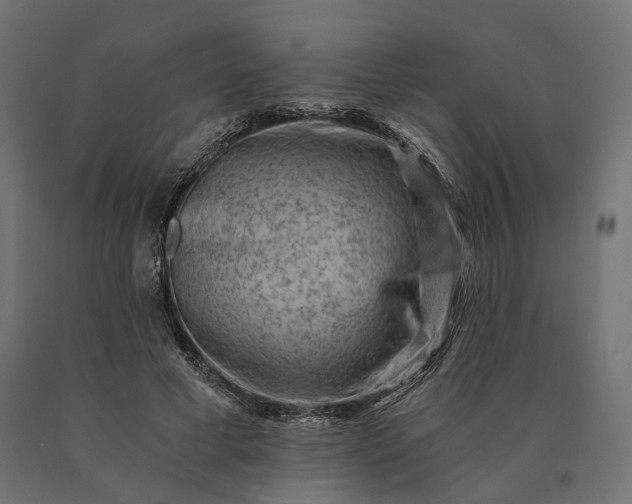 X0000090780593200708031717