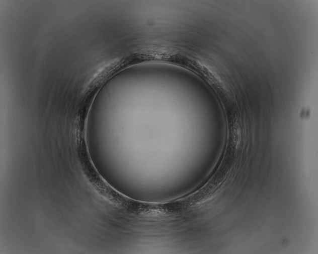 X0000090780594200708031717