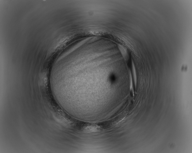 X0000090780595200708031717