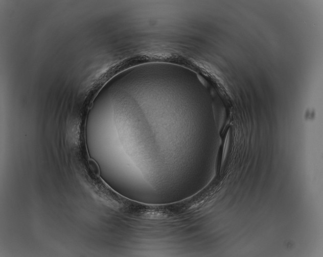 X0000090780596200708031717