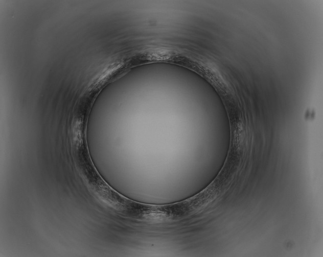 X0000090780598200708031717