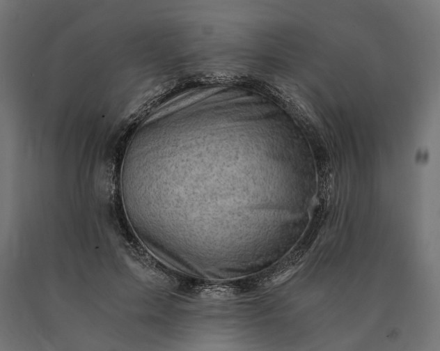X0000090780599200708031717