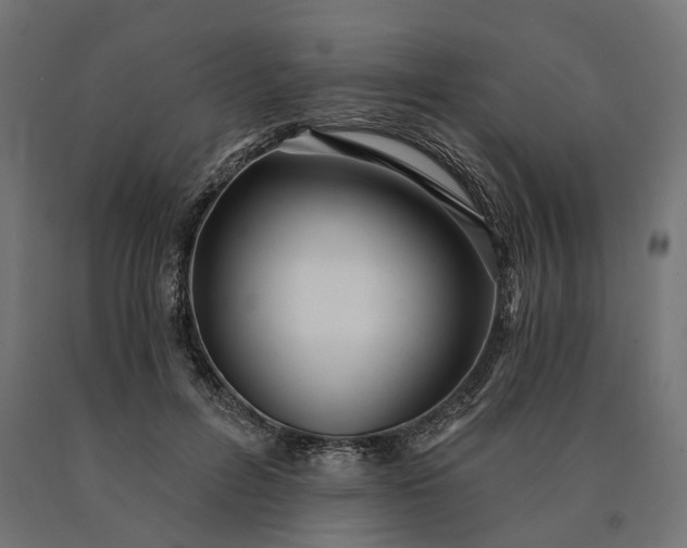 X0000090780600200708031717