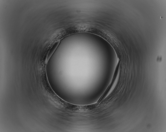 X0000090780601200708031717