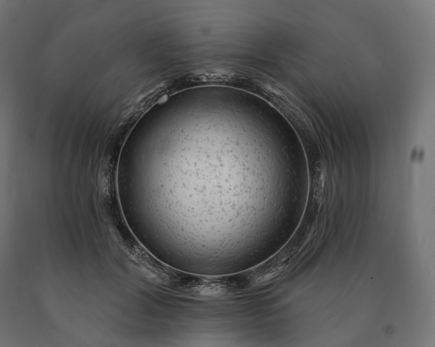 X0000090780604200708031716