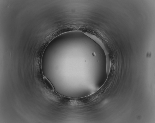 X0000090780605200708031716