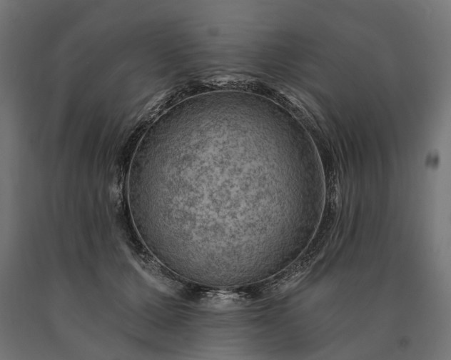 X0000090780607200708031716