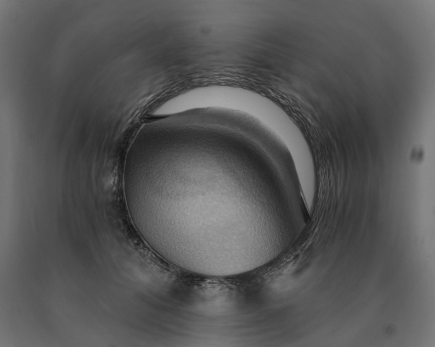X0000090780608200708031716
