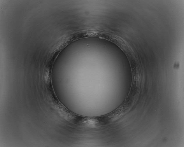 X0000090780610200708031716