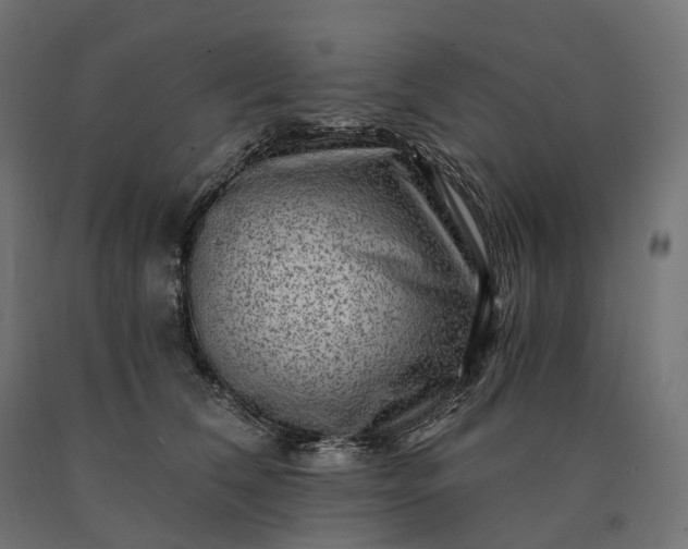 X0000090780612200708031716