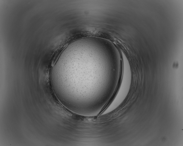 X0000090780613200708031716