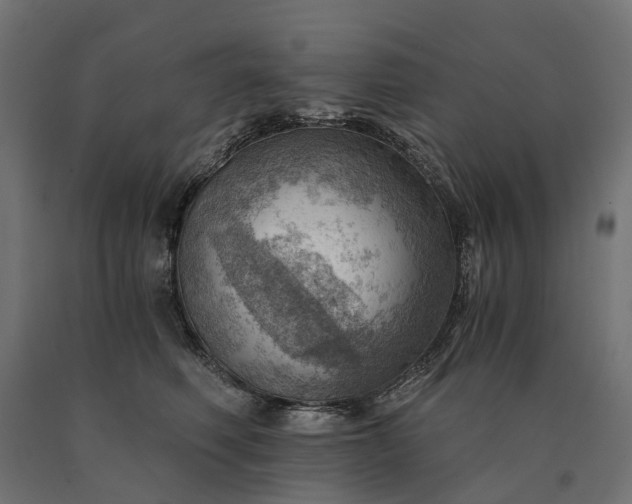 X0000090780614200708031716