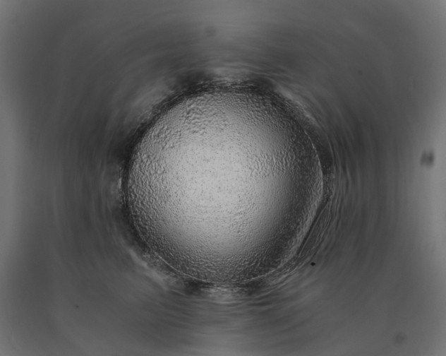 X0000090780615200708031716