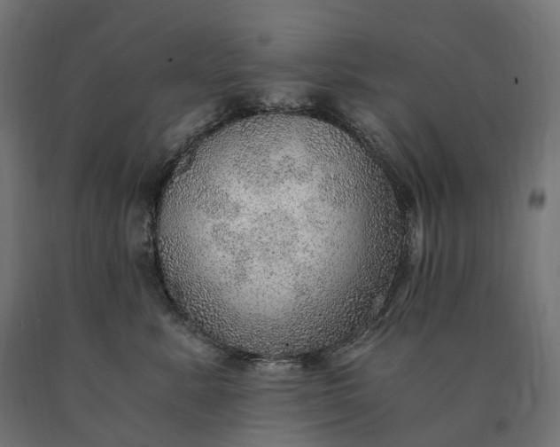 X0000090780619200708031716