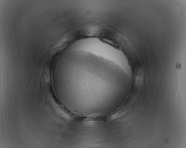 X0000090780620200708031716