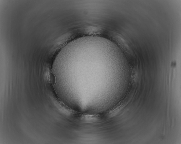 X0000090780622200708031716