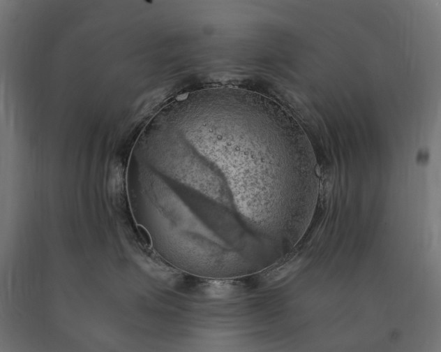 X0000090780623200708031716