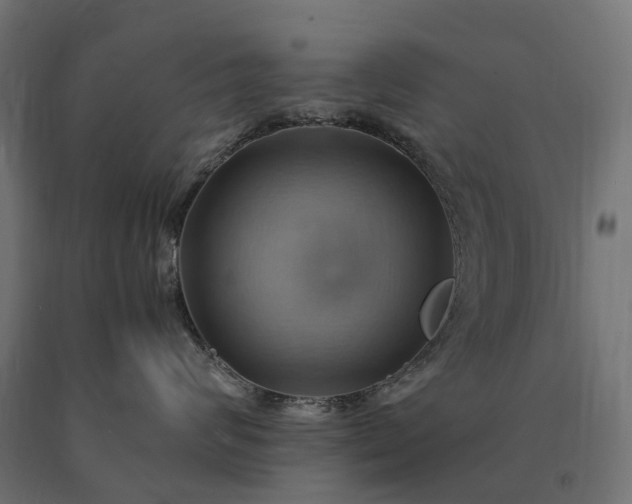 X0000090780624200708031716