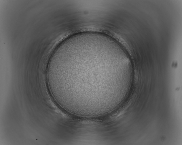 X0000090780625200708031715