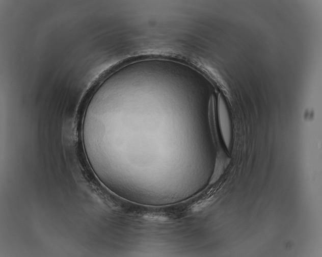 X0000090780628200708031715