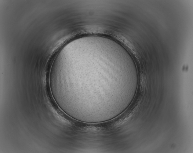 X0000090780629200708031715
