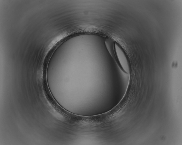 X0000090780630200708031715