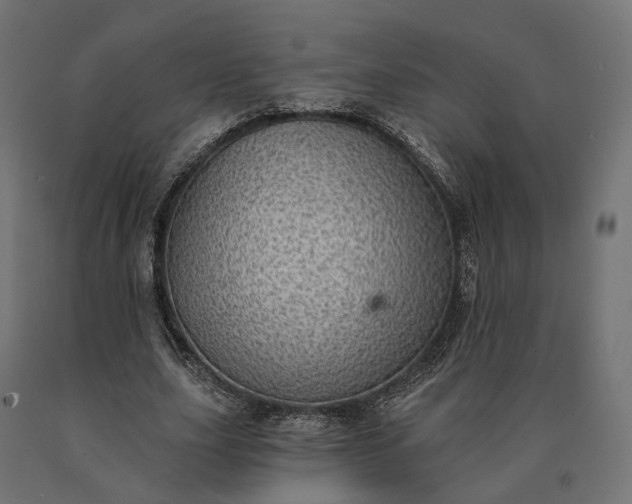 X0000090780631200708031715