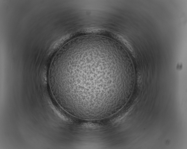X0000090780633200708031716