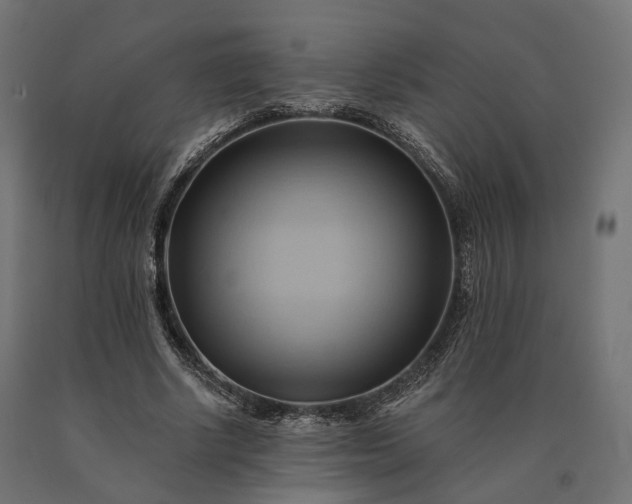X0000090780634200708031716