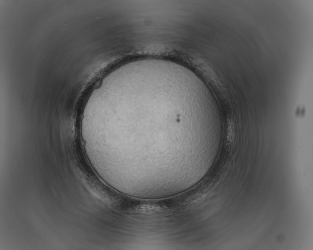 X0000090780636200708031716