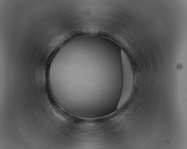 X0000090780638200708031716