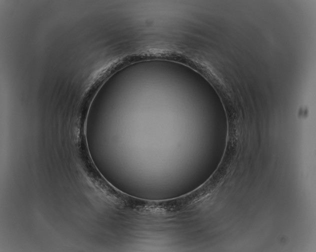 X0000090780640200708031716