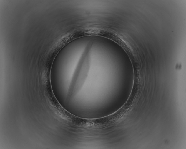 X0000090780641200708031716