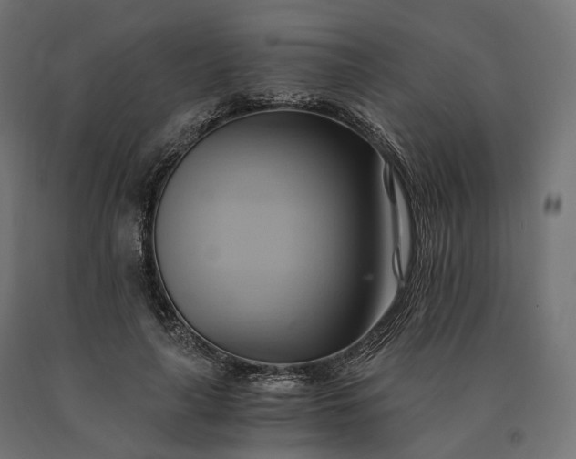 X0000090780643200708031716