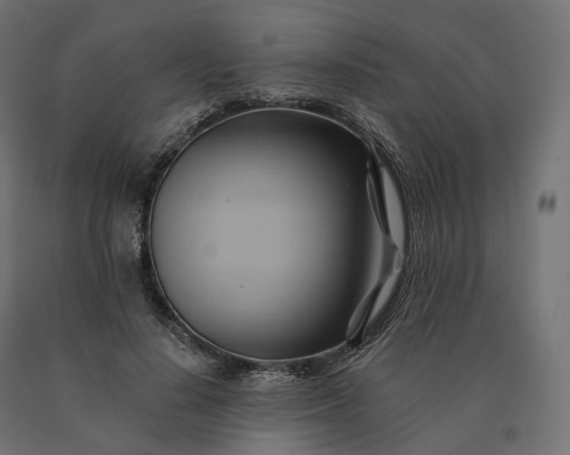 X0000090780644200708031716