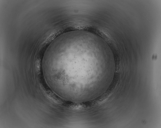 X0000090780646200708031716