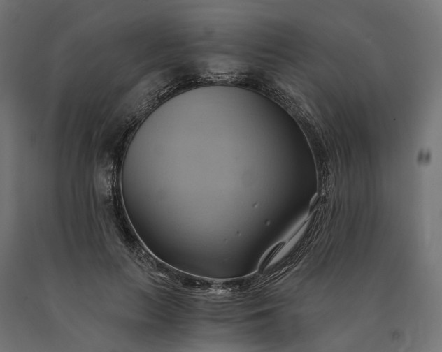 X0000090780647200708031716