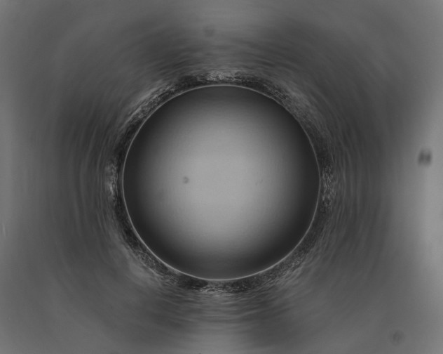 X0000090780648200708031716
