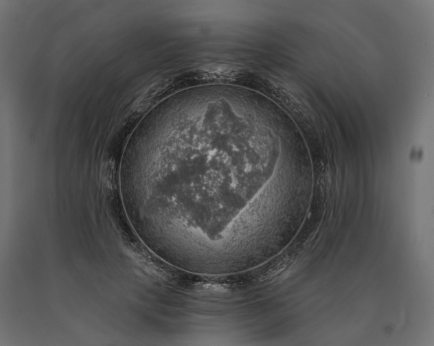 X0000090780649200708031716