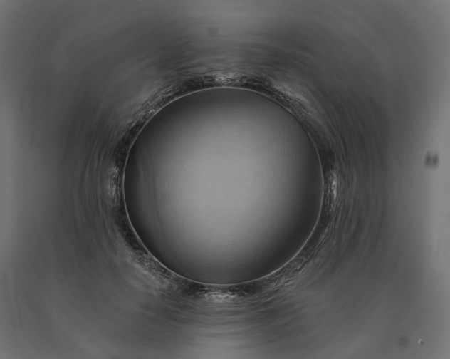 X0000090780650200708031716