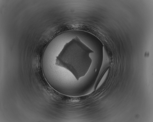 X0000090780651200708031716