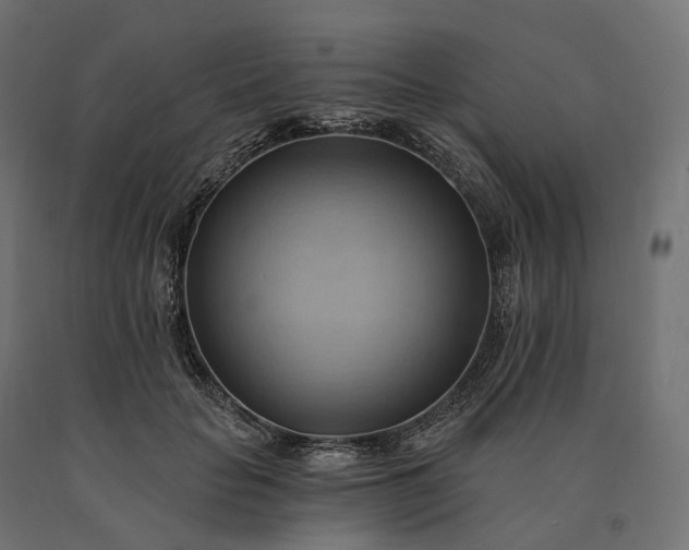 X0000090780653200708031716