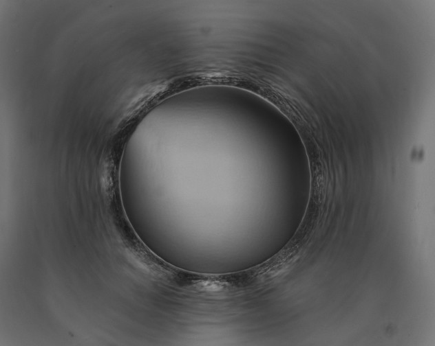 X0000090780654200708031716
